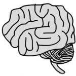 A sketch of a brain