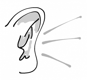 A sketch of an ear that is listening
